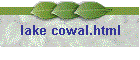 lake cowal.html